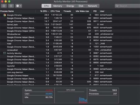 A screenshot of the Mac activity monitor.