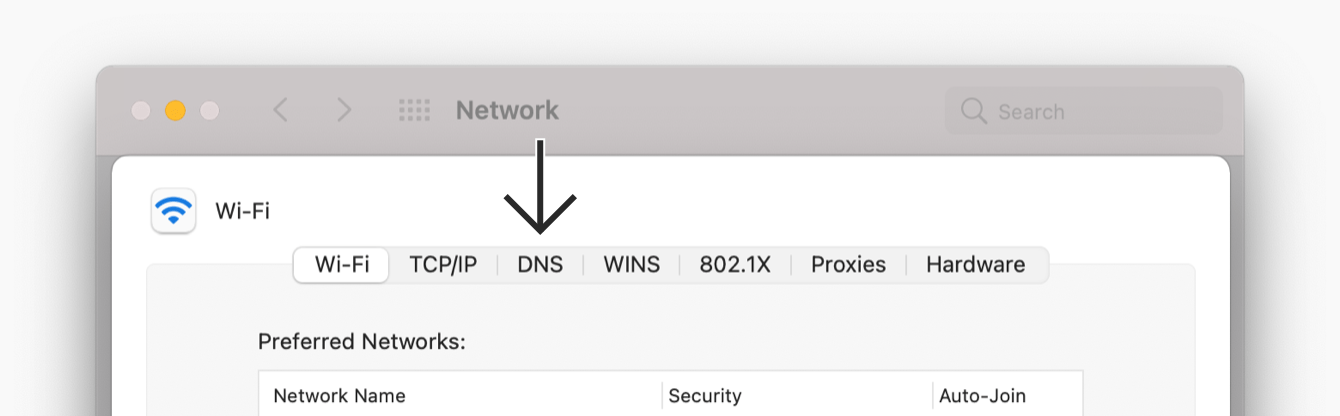 Click “DNS.”