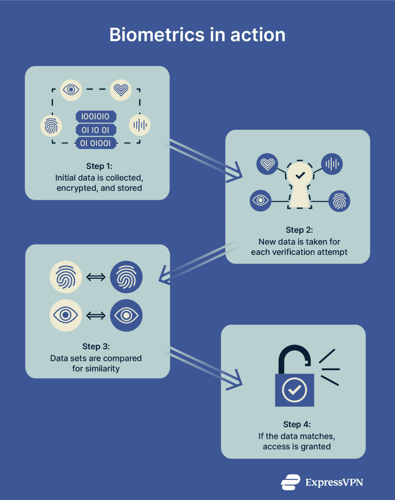 What is biometrics? | How it works, types and safety risks explained
