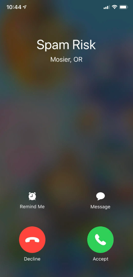 iPhone incoming call screen identifying the caller as a “Spam Risk”.