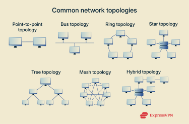 A visual representation of the rough shape of several common network topologies.