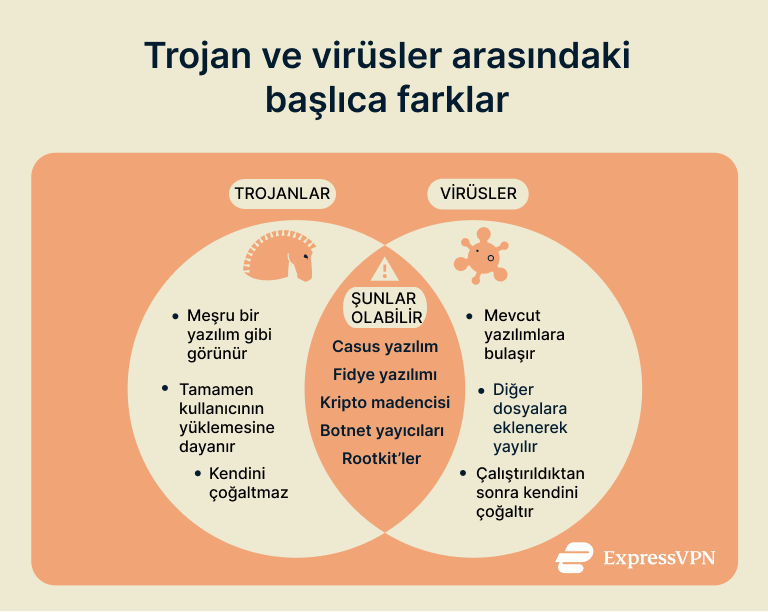 A Venn diagram showing how Trojans and viruses differ and the traits that they share.