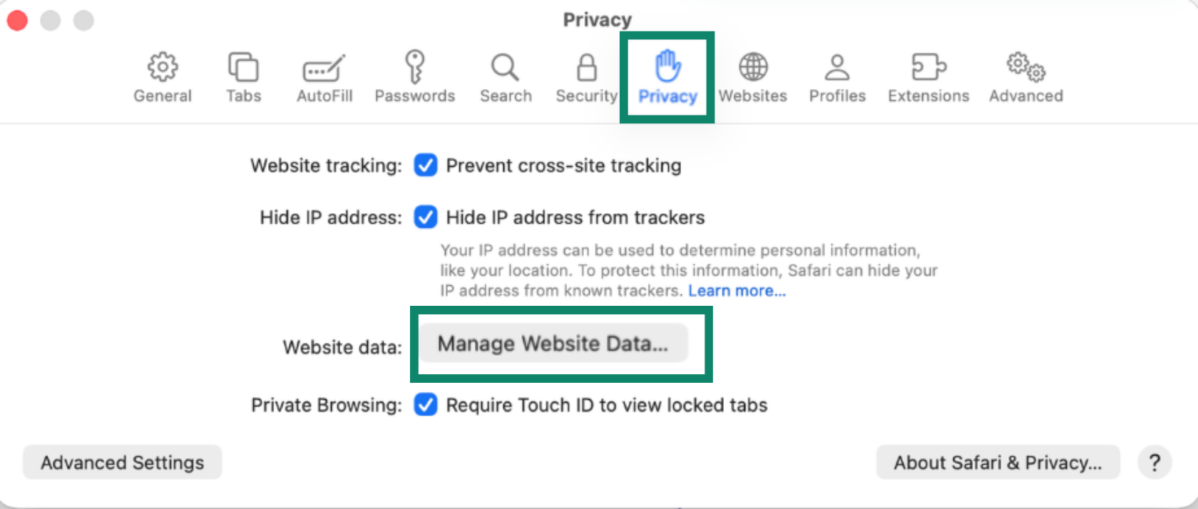 Safari Privacy settings with Manage Website Data button highlighted under Website data section.