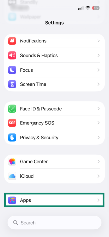 Local network access on iPhone: What it is and how to manage it