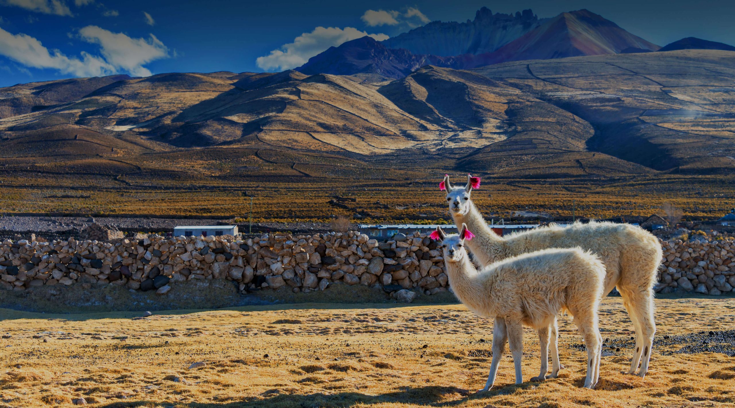 Descargue la mejor VPN para Bolivia en 2025