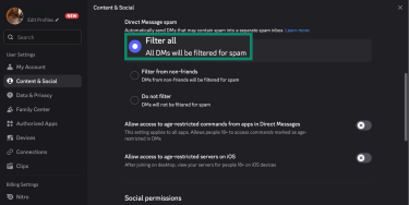 Discord's spam filter setting.
