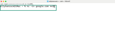 How to check port availability via the Terminal on macOS.
