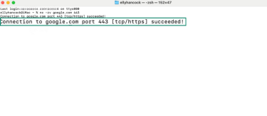 Succeeded results for how to check port availability via the Terminal on macOS.