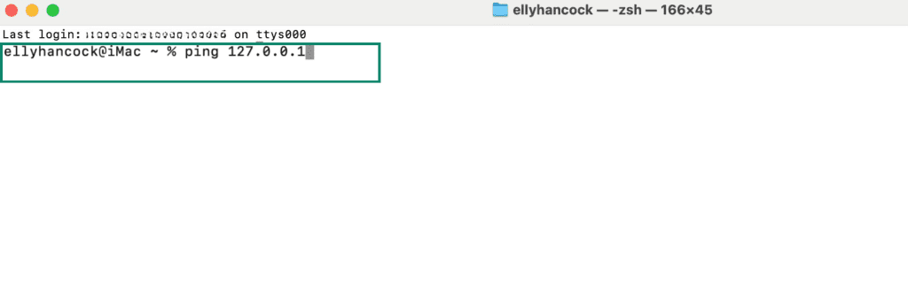 How to ping an IP address