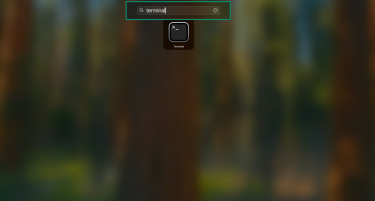 Open Terminal on macOS.