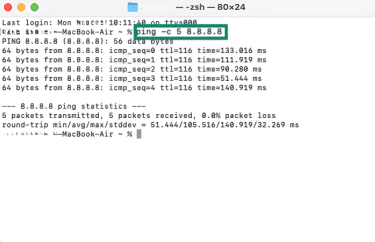 How to ping an IP address