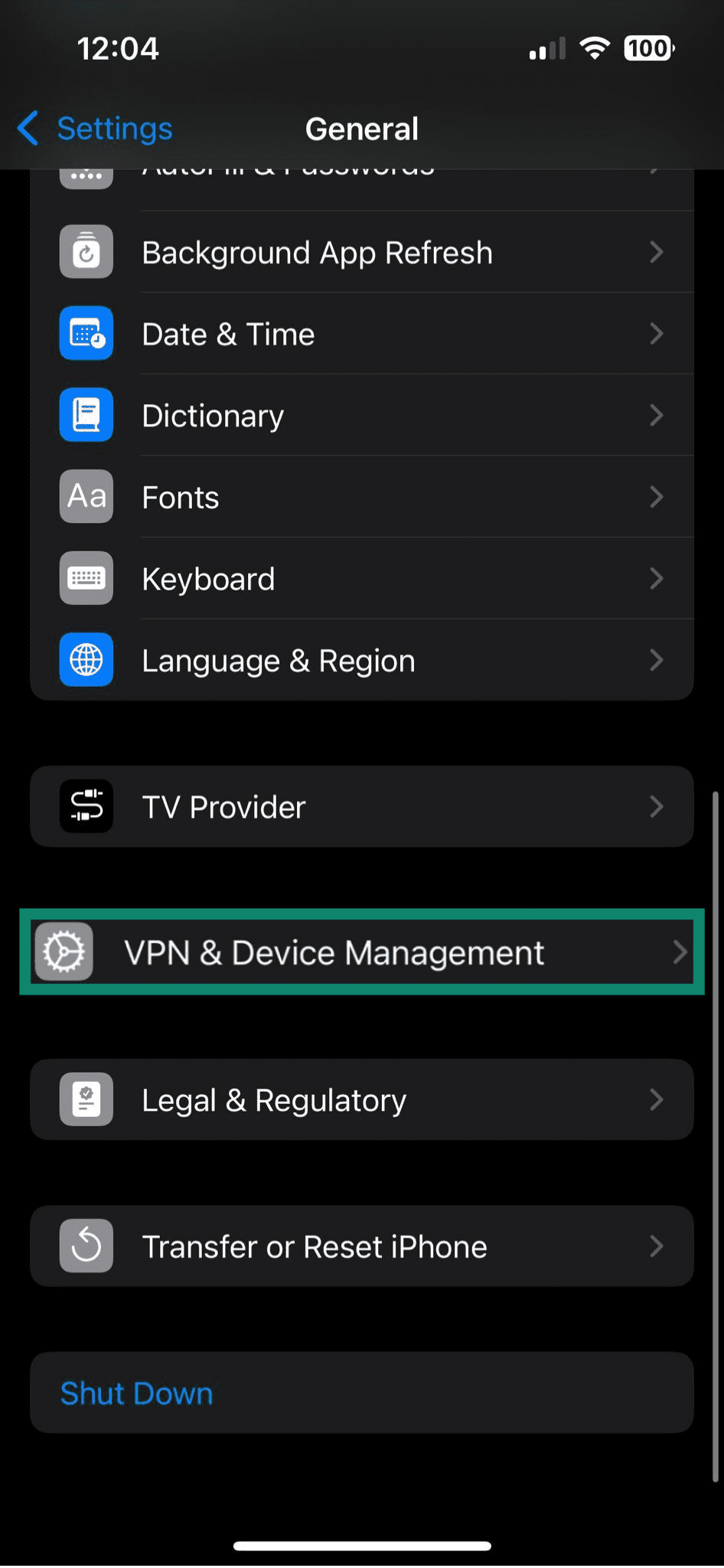 VPN auto-connect: How to enable it on any device