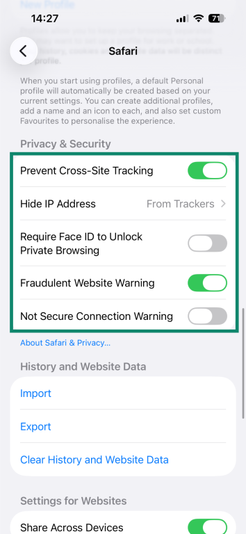 Safari's Privacy& Security settings on iOS.