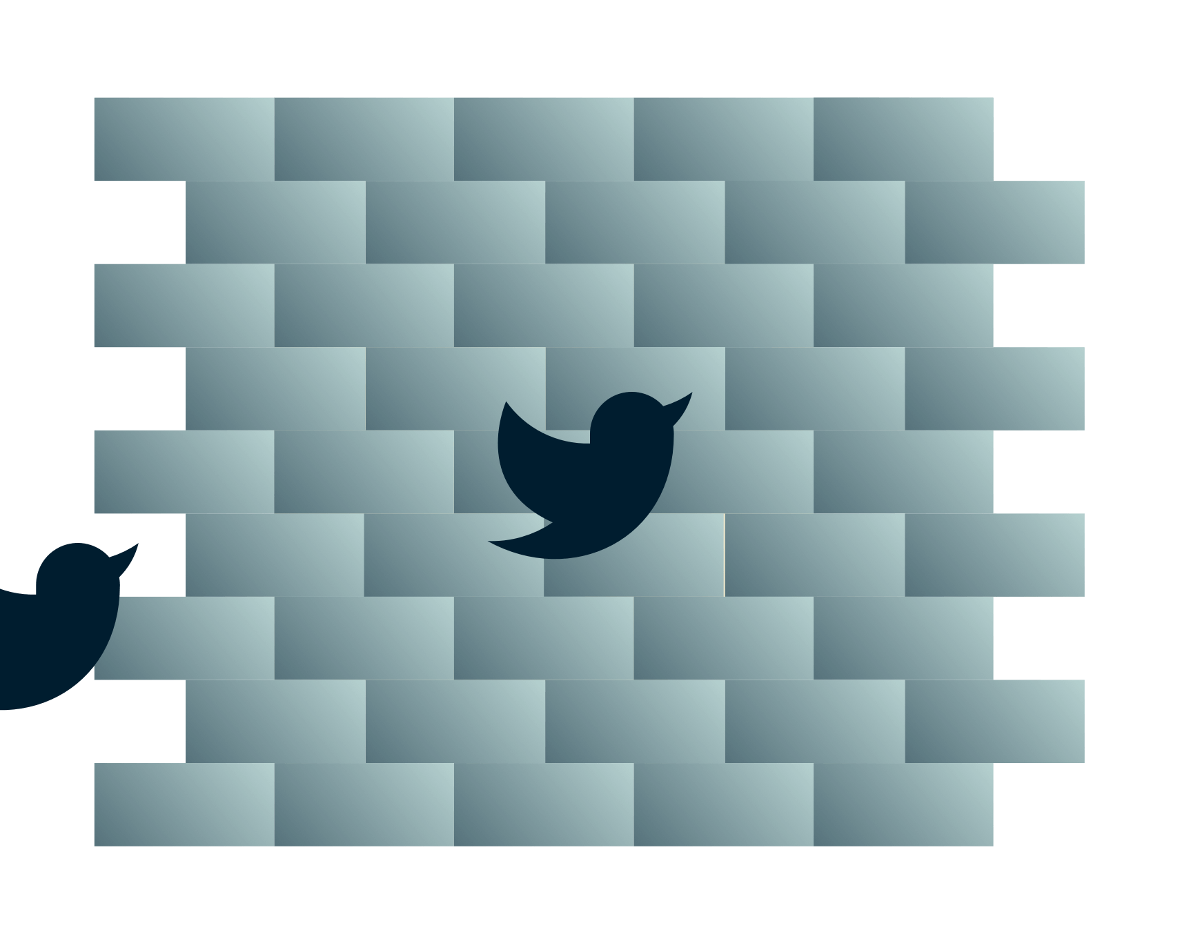 Twitter kuşları duvara doğru ilerliyor.