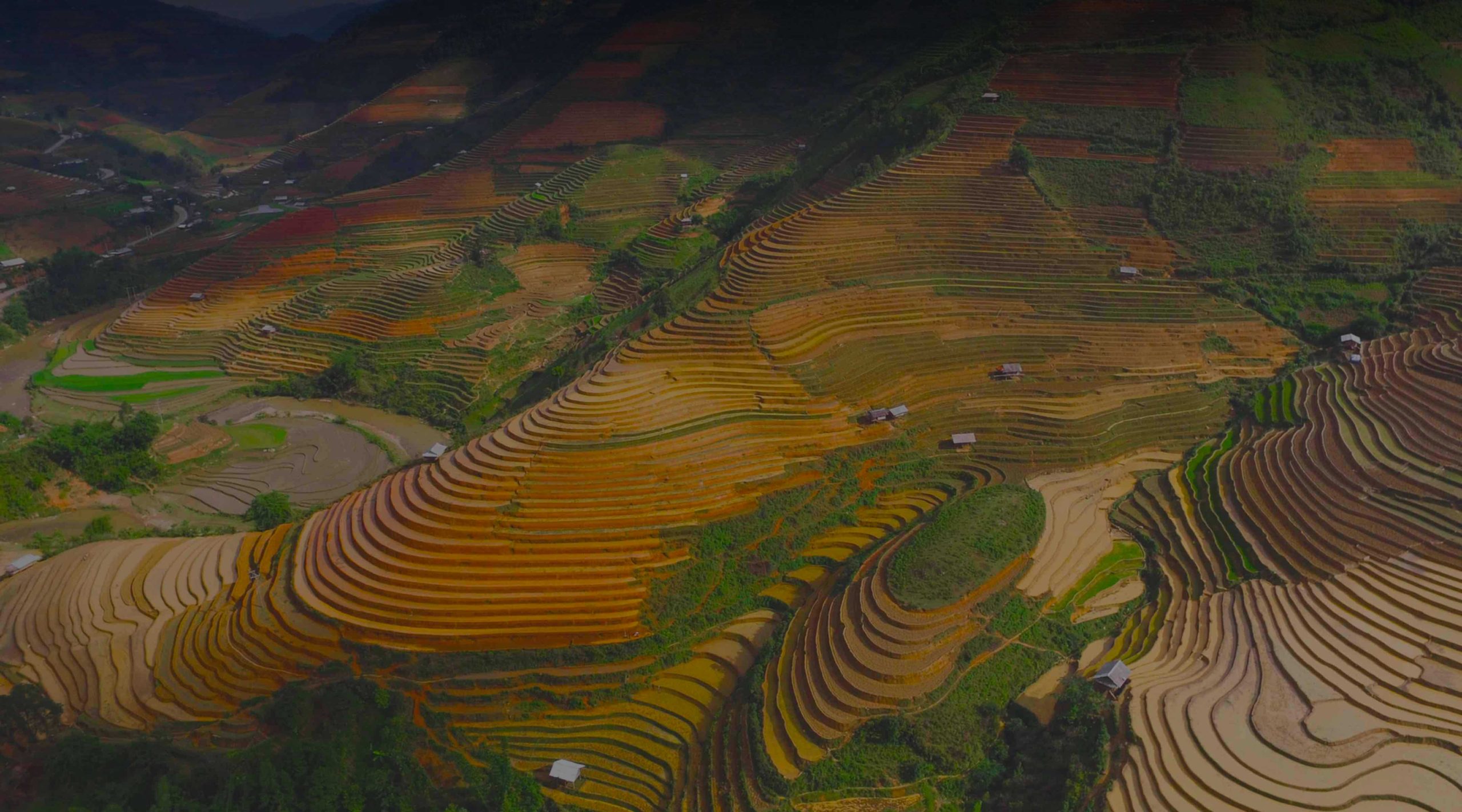 Bester VPN-Dienst für Vietnam