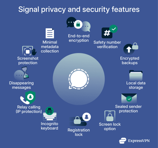 What is the Signal app? A secure messaging tool for your privacy