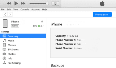 iTunes app on Windows laptop with Summary highlighted.
