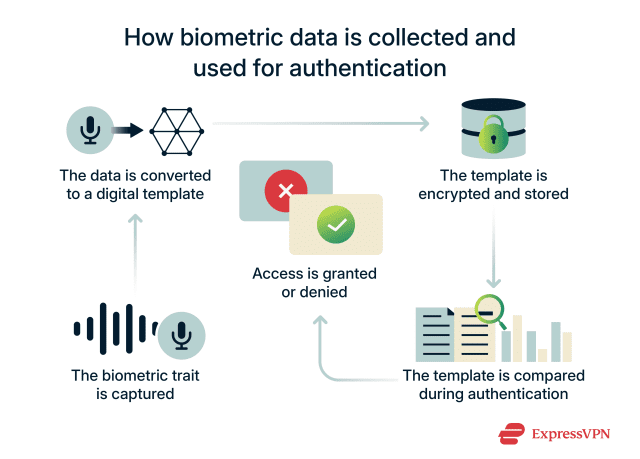 What is biometric data? | ExpressVPN Glossary