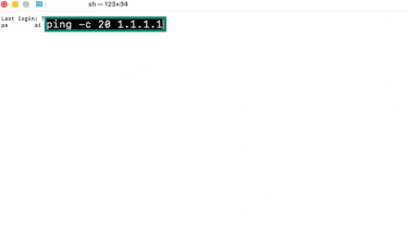 Ping command in Terminal on macOS