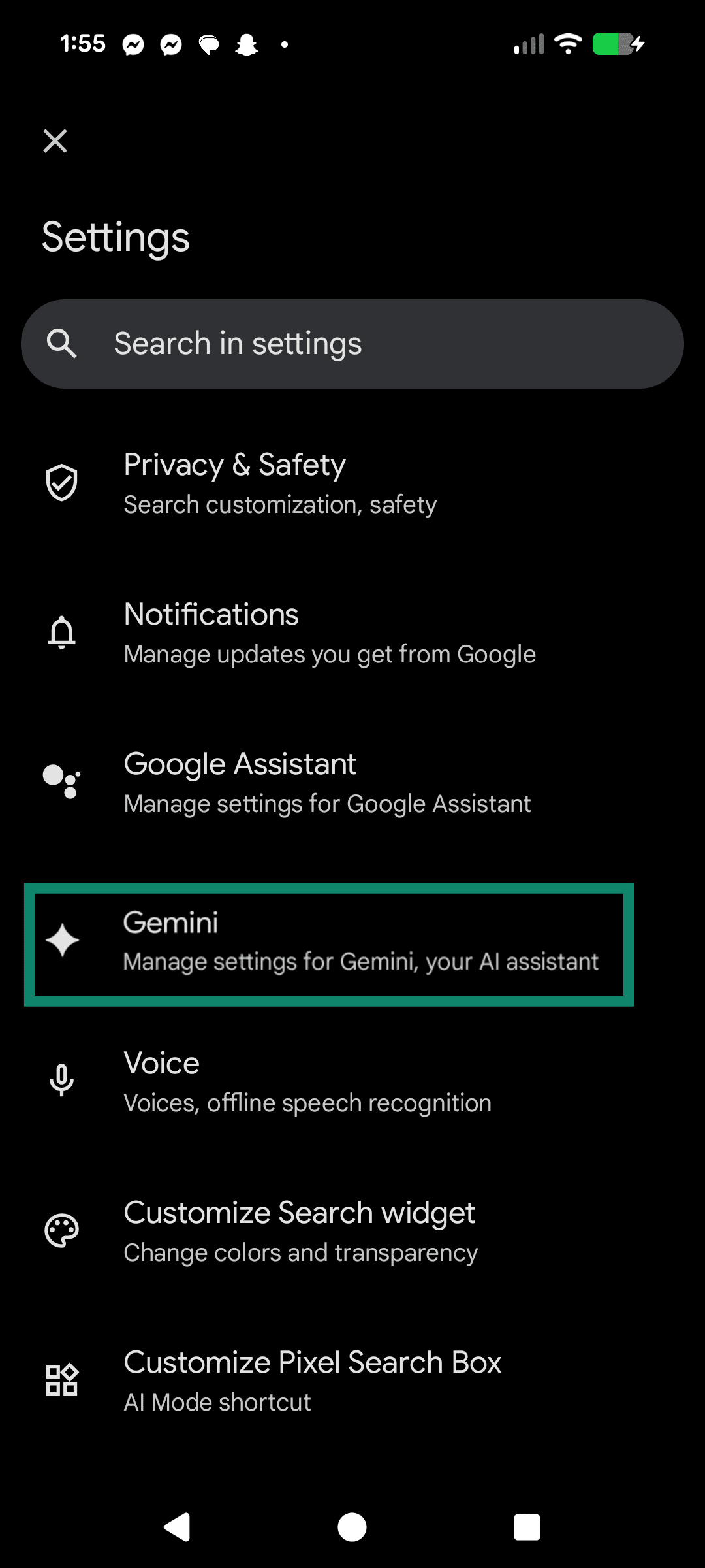 Google's settings menu with an outline around the Gemini sub-menu.