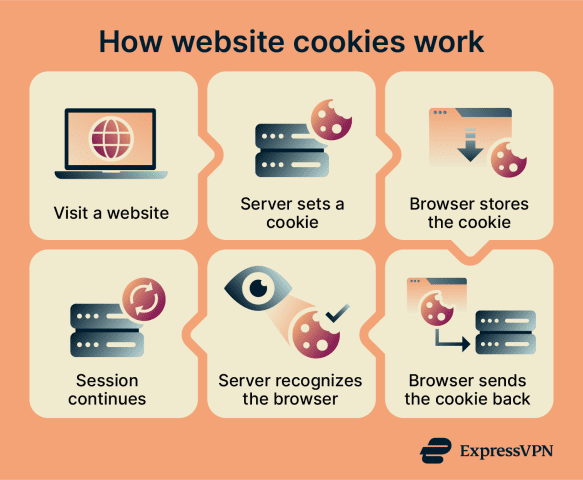 Discover what internet cookies are and how they work