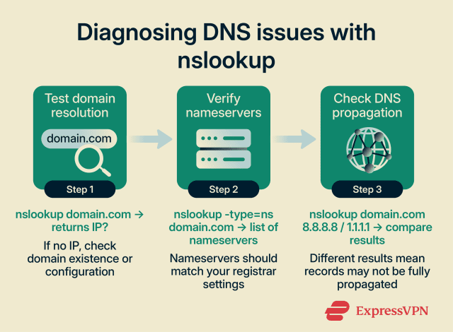 What does nslookup do? Explained for beginners