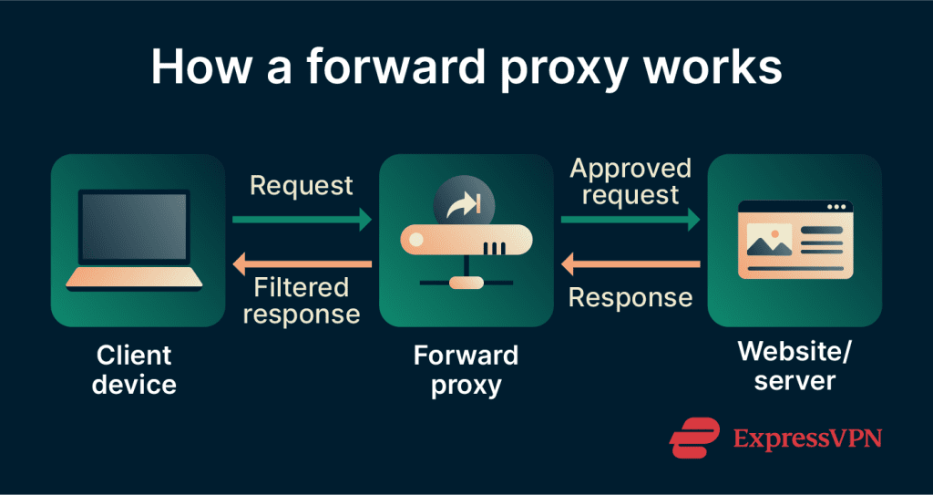 What is a forward proxy? | ExpressVPN Glossary