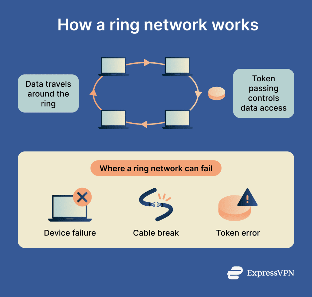 What is a ring network? | ExpressVPN Glossary