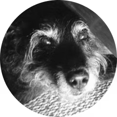 Bcoinchaos X Profile Pic