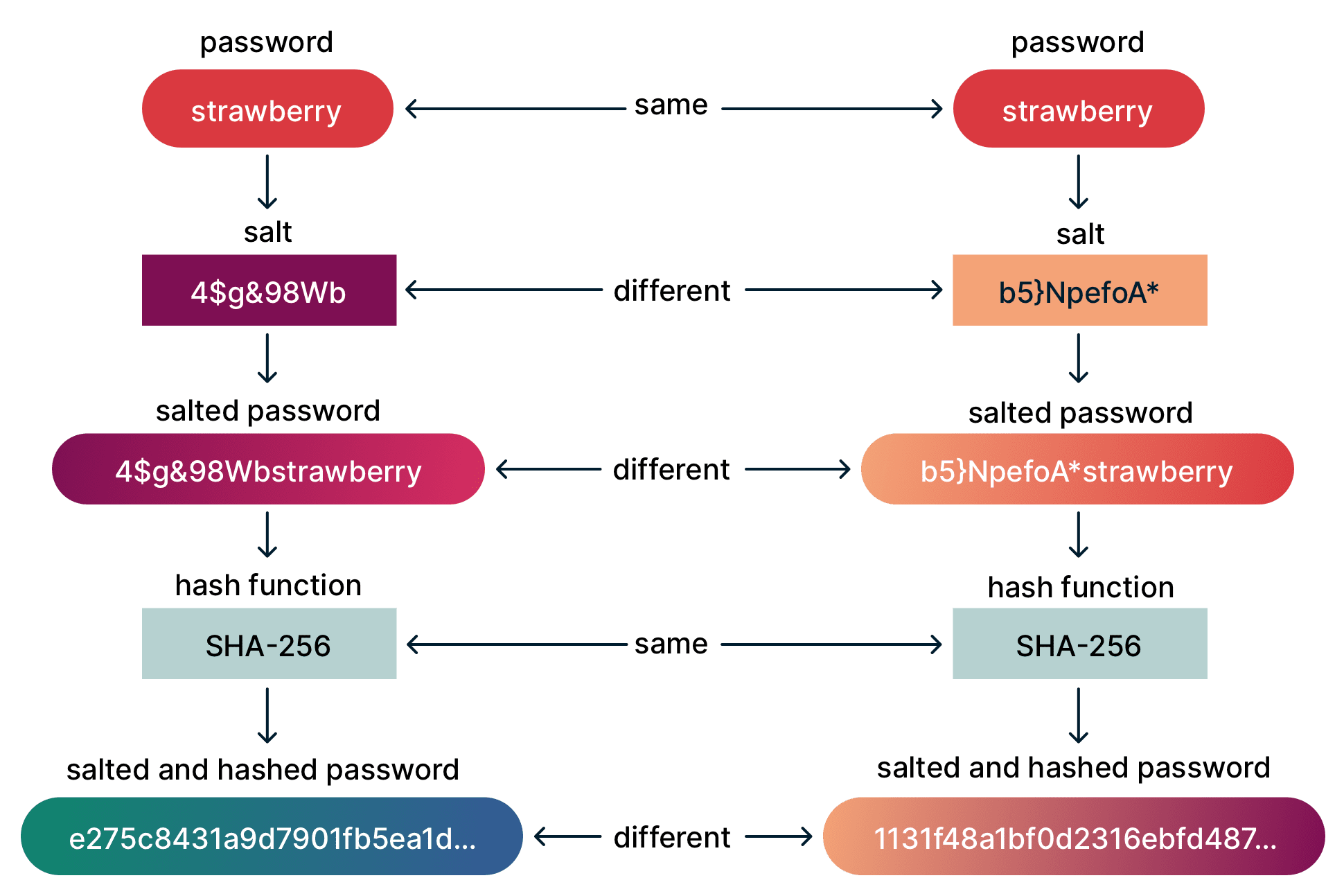 The same password with different salts, producing different hashes.