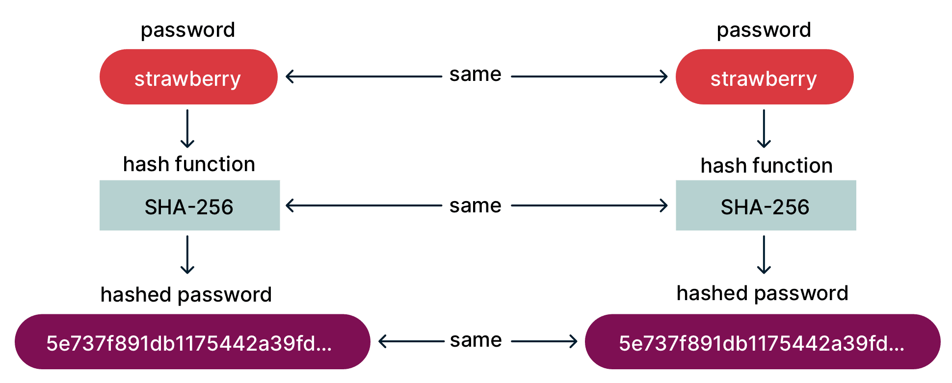 The same password being hashed to produce the same result.
