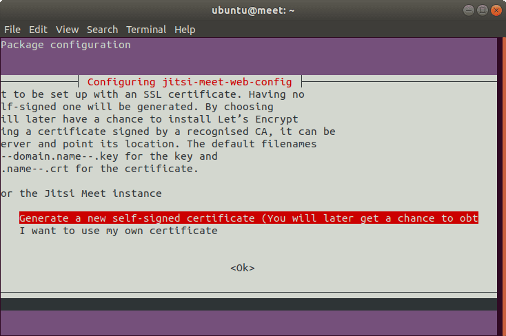 A Jitsi screenshot