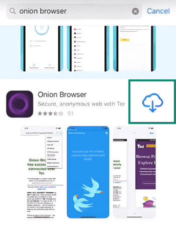 The Onion Browser app in the iOS App Store.