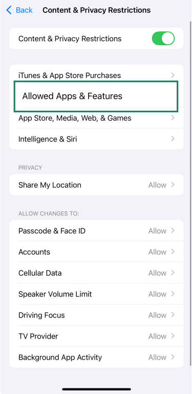 Allowed Apps & Features menu in parental controls