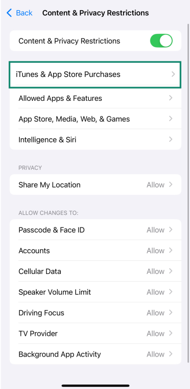 iOS screen showing iTunes & App Store Purchases option.