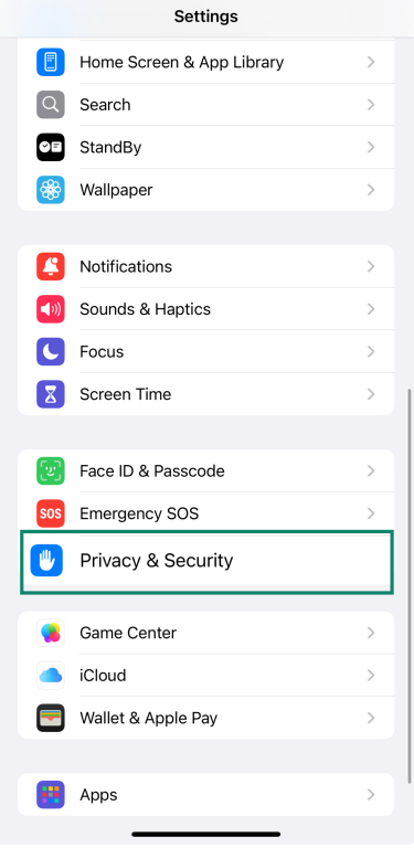 iPhone Settings screen with Privacy & Security highlighted