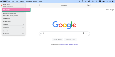 Safari browser with Settings option highlighted on Mac.