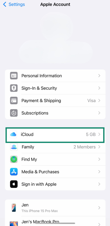 Apple Account screen in iPhone Settings showing iCloud option selected.