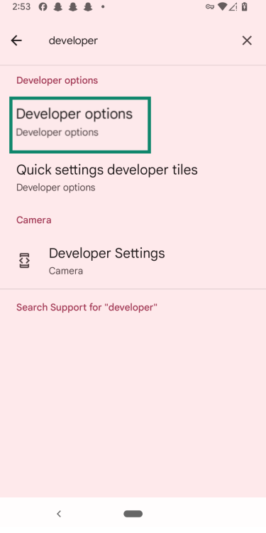An Android screen showing the Developer options.