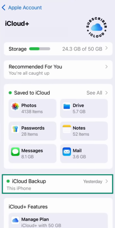 The iCloud menu of an iPhone, showing the iCloud Backup option.