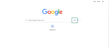 Google homepage on Safari with the voice search microphone icon in the search bar.
