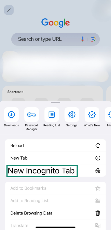 The New Incognito Tab of iOS Google Chrome.