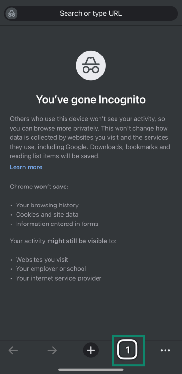 iOS Google Chrome opened to Incognito Mode.