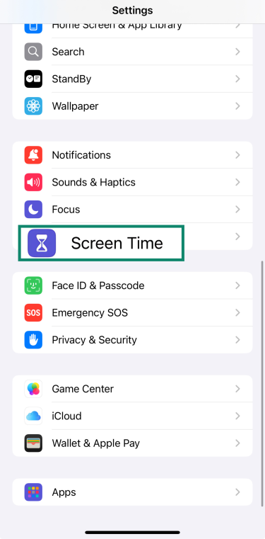 The Screen Time option of the iOS Settings page.