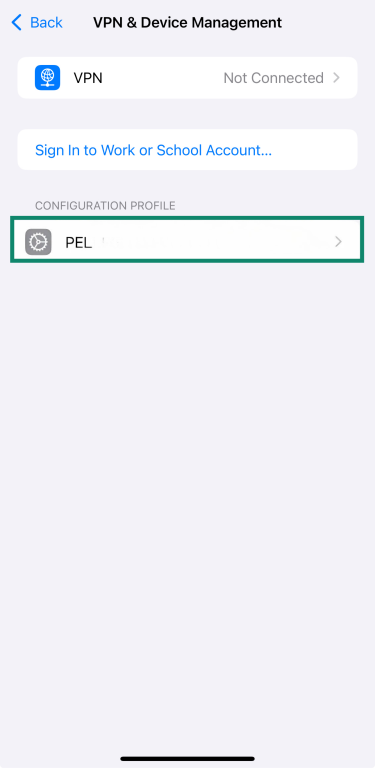 An iPhone's list of profiles with restrictions.
