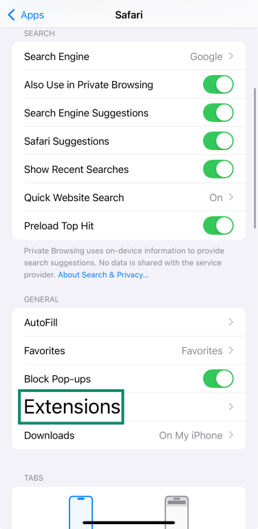 The Safari Extensions menu on an iPhone. 