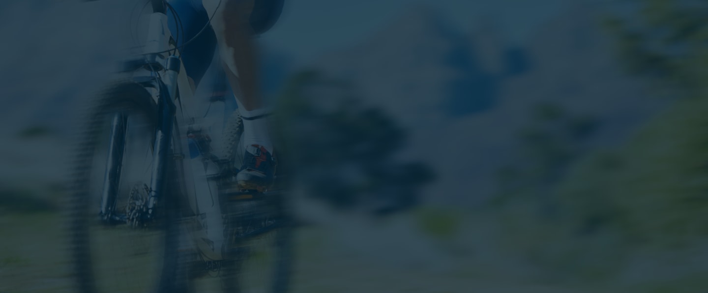 banner image
