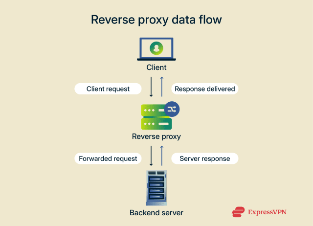 What is a reverse proxy? | ExpressVPN Glossary