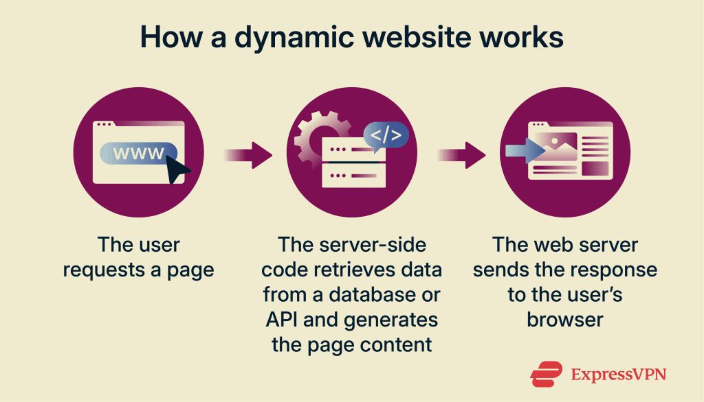 What is a dynamic website? | ExpressVPN Glossary