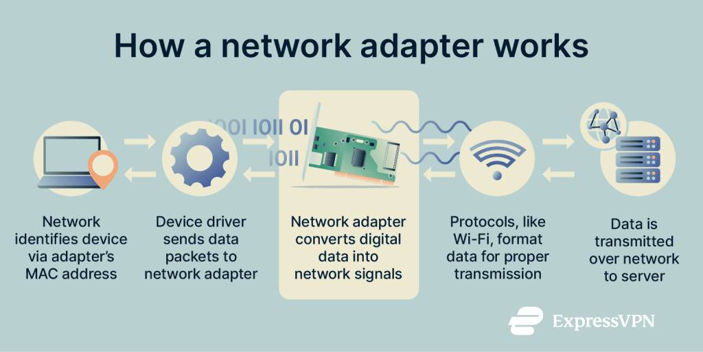 What is a network adapter? | ExpressVPN Glossary